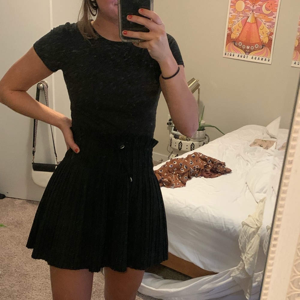 BNWT Zara Pleated Skirt